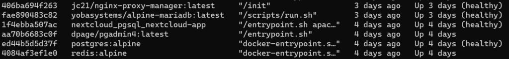 Docker PS aufruf